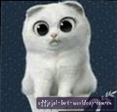 小敏