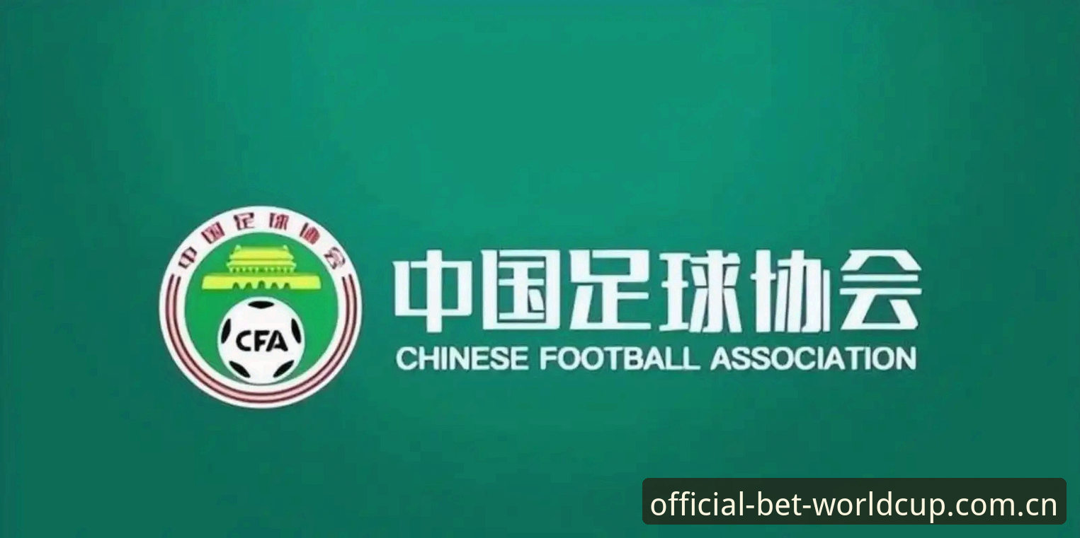 足协第三批禁足名单深度解析：从65人处罚看中国足球行业整顿指南